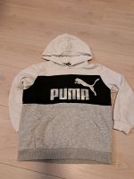 Hoodie von Puma Baden-Württemberg - Talheim Neckar Vorschau