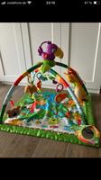 Krabbeldecke mit Spielbogen / Fisher Price Rainforest Brandenburg - Am Mellensee Vorschau