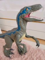Jurrasic World Riesen Dinosaurier Velociraptor Blue Niedersachsen - Bomlitz Vorschau