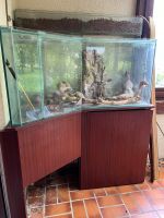 Aquarium mit Unterschrank und Pflanzenaufsatz Baden-Württemberg - Bretten Vorschau