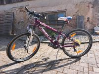 Fahrrad in lila von BULLS Bayern - Winklarn Vorschau
