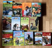 Kinder Bücher Pferdegeschichten ab 10 J. Nürnberg (Mittelfr) - Nordstadt Vorschau