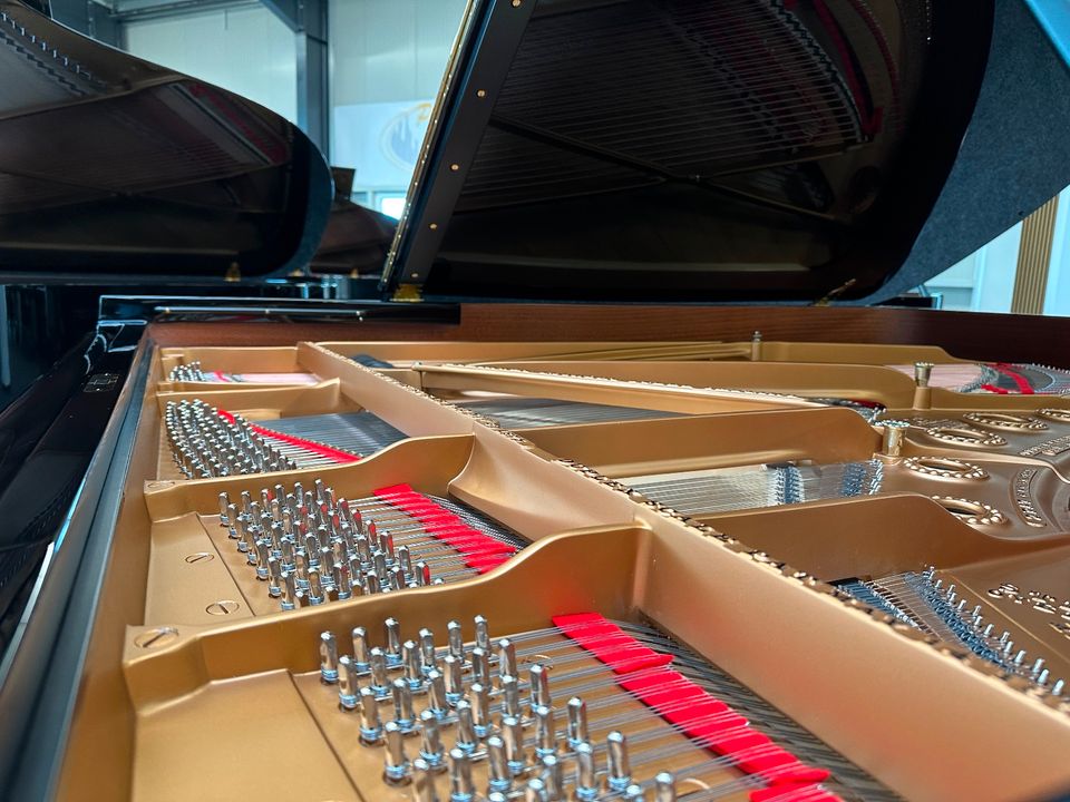 Steinway Flügel, Modell B-211, generalüberholt, 5 J. Garantie in Swisttal