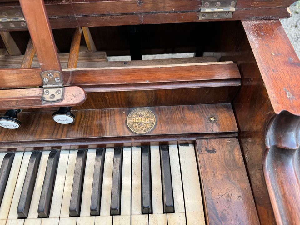 Harmonium, Druckwind in Düsseldorf