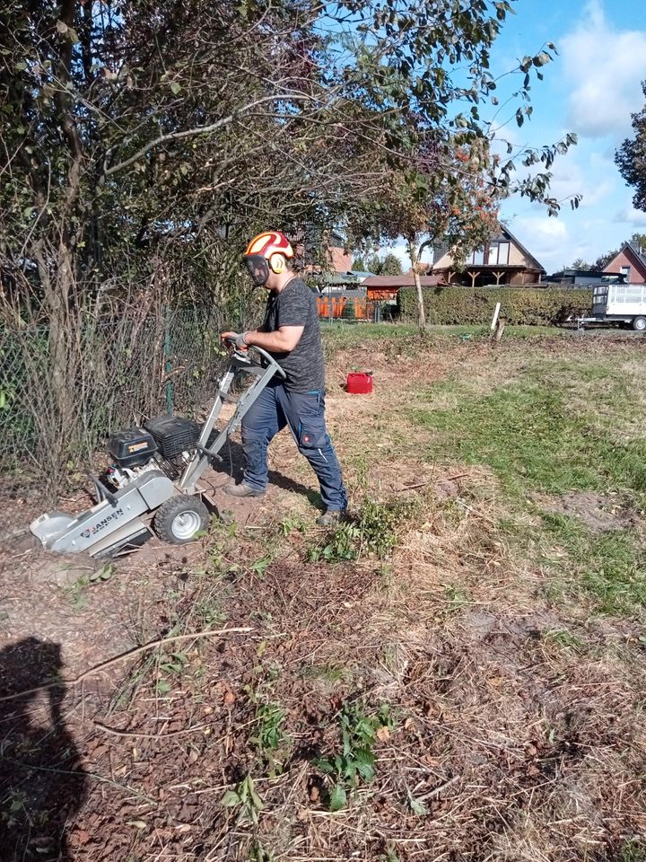 Baum und Gartenpflege in Wedemark