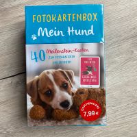 Neu Fotokarten Box - Erinnerungen mit seinem Hund machen Hessen - Alsfeld Vorschau