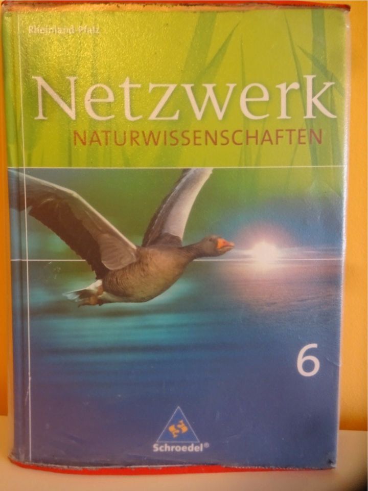 Netzwerk Naturwissenschaften 6, Nawi 6. Klasse Schulbuch in Wittlich