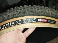 2 x MTB Reifen Onza Canis 29x2.2 Tubeless Ready Nordrhein-Westfalen - Witten Vorschau