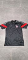 FC Bayern Trikot Trainingshirt Bayern - Allersberg Vorschau