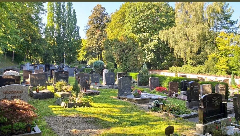 friedhof putzen garden pflanzen in Regensburg