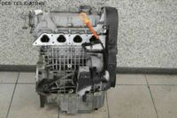 VW GOLF IV (1J1) 1.4 16V 036103373AK Motor ohne Anbauteile (Benzi Duisburg - Hamborn Vorschau