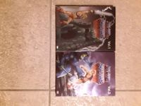 DVD diverse DVD's Masters of the Universe Gesamtpreis 20 Euro Niedersachsen - Lingen (Ems) Vorschau