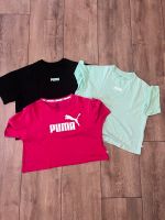 3er SET: Puma Tshirt Shirt Nordrhein-Westfalen - Oberhausen Vorschau