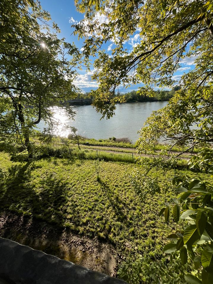 Garten direkt am Inn mit Traumblick Gartengrundstück Gartenstück in Pocking