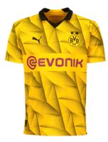 Suche Borussia Dortmund Champions League Cup Trikot Niedersachsen - Osnabrück Vorschau