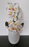 ABELLA Flora künstliche Orchidee Keramiktopf Höhe ca. 48cm Sachsen - Rötha Vorschau