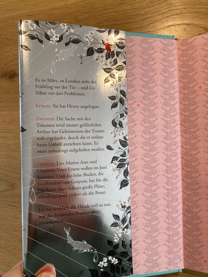 Buch/Roman: Silber - Das dritte Buch der Träume in Wildberg
