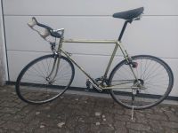 Cooles MOTOBECANE  Rennrad 28" 10-Gang  RH 56,  Vintage ,grün Rheinland-Pfalz - Ludwigshafen Vorschau