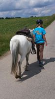 Pony sucht Kind, Reitbeteiligung zu vergeben Bayern - Mauerstetten Vorschau
