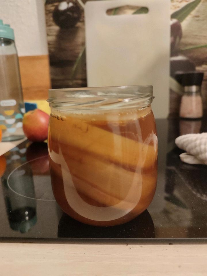 Kerngesunder Kombucha Teepilz SCOBY in Bielefeld