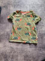 Shirt Schildkröte 74/80, 0,50€ Sachsen - Ostrau Vorschau