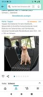 Hundeschutzdecke für Auto, schwarz Bayern - Pfarrkirchen Vorschau