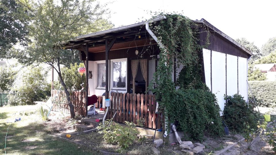 ⭐ Garten mit Bungalow in Teltow Besichtigung auf Anfrage ⭐ in Teltow