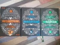 Magisterium Band 1-3 von Holy Black Cassandra Clare Nordrhein-Westfalen - Gevelsberg Vorschau