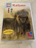 DVD Was ist Was „ Katzen“ zweisprachig *neuwertig* Rheinland-Pfalz - Simmertal Vorschau