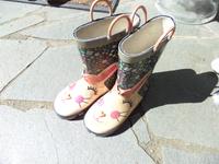Gummistiefel Mecklenburg-Vorpommern - Putbus Vorschau
