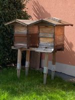 2 x 3 Raum-Bienenbeuten DNM inkl. 1 Beutenständer Abholung 82166 Kr. München - Gräfelfing Vorschau