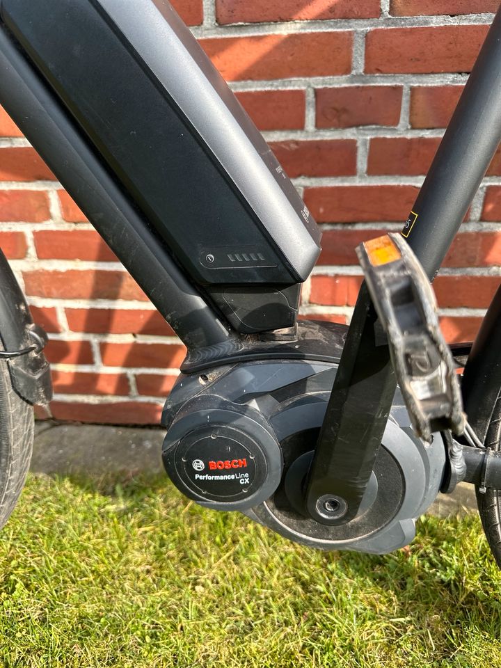 E-Bike Kieler Manufaktur Perf. CX schwarz 55 in Schülp