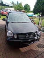 Volkswagen Vw Polo 1,6l Benziner Nordrhein-Westfalen - Dülmen Vorschau