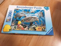 Ravensburger Delfine Puzzle NEU Nordrhein-Westfalen - Mönchengladbach Vorschau