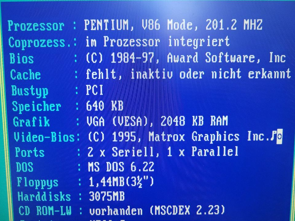 90er Jahre Retro Vintage PC P200 Gigabyte GA-586HX 192MB RAM DOS in Mörfelden-Walldorf