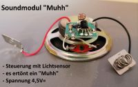 Soundmodule f. Bastler + Tüftler m. Lichtsensor- Tastersteuerung Thüringen - Gotha Vorschau