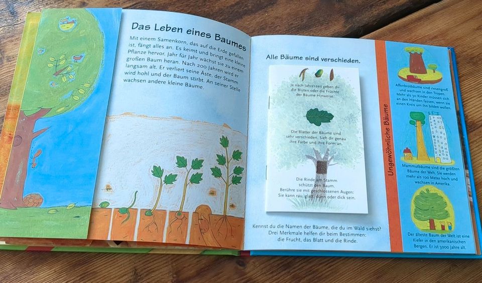 Was gibt es im Wald Kinderbuch Coppenrath Verlag in Havixbeck