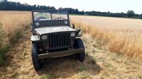 Willys Jeep M201 Hotchkiss Baden-Württemberg - Schwaigern Vorschau