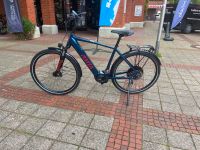 Kayza E-Trekkingrad Talik Dry 8, Bosch Performance CX, 625 Wh Nordrhein-Westfalen - Everswinkel Vorschau