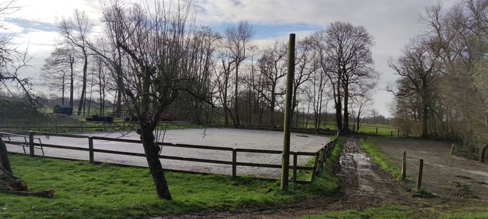 Erlebnis auf dem Ponyhof in Kluse