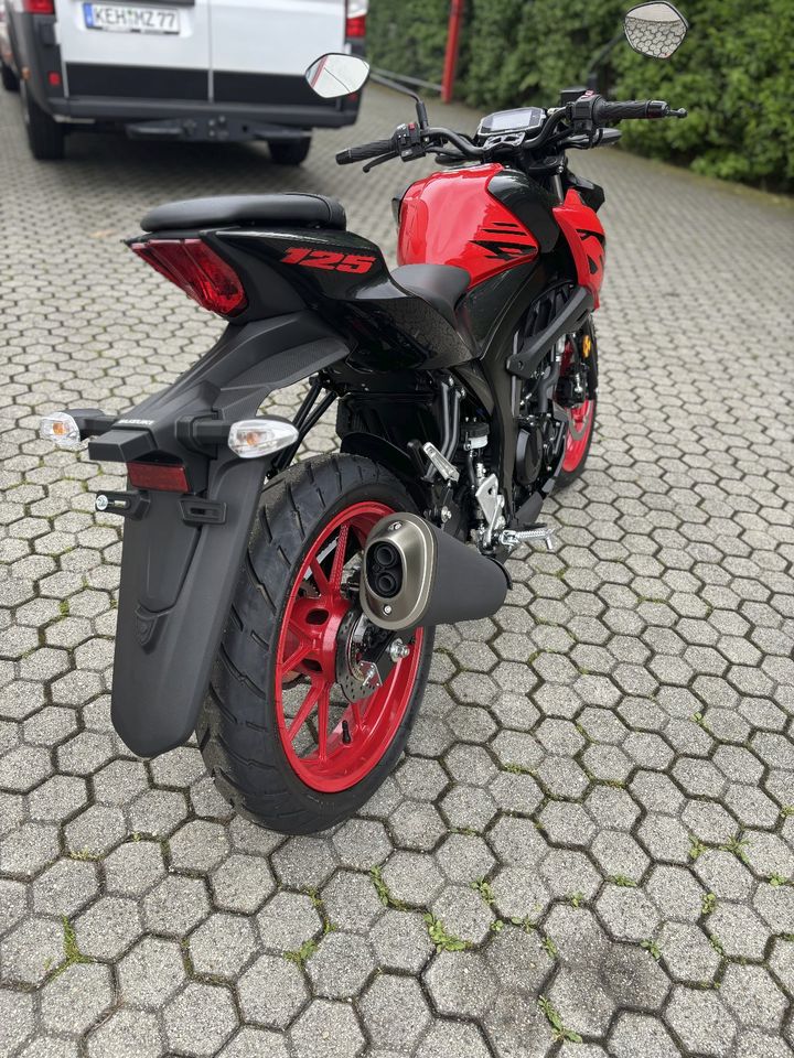 Suzuki GSX-S125 *GSXS * 125 * A1 * 15 PS * 2024 in Neustadt a.d.Donau