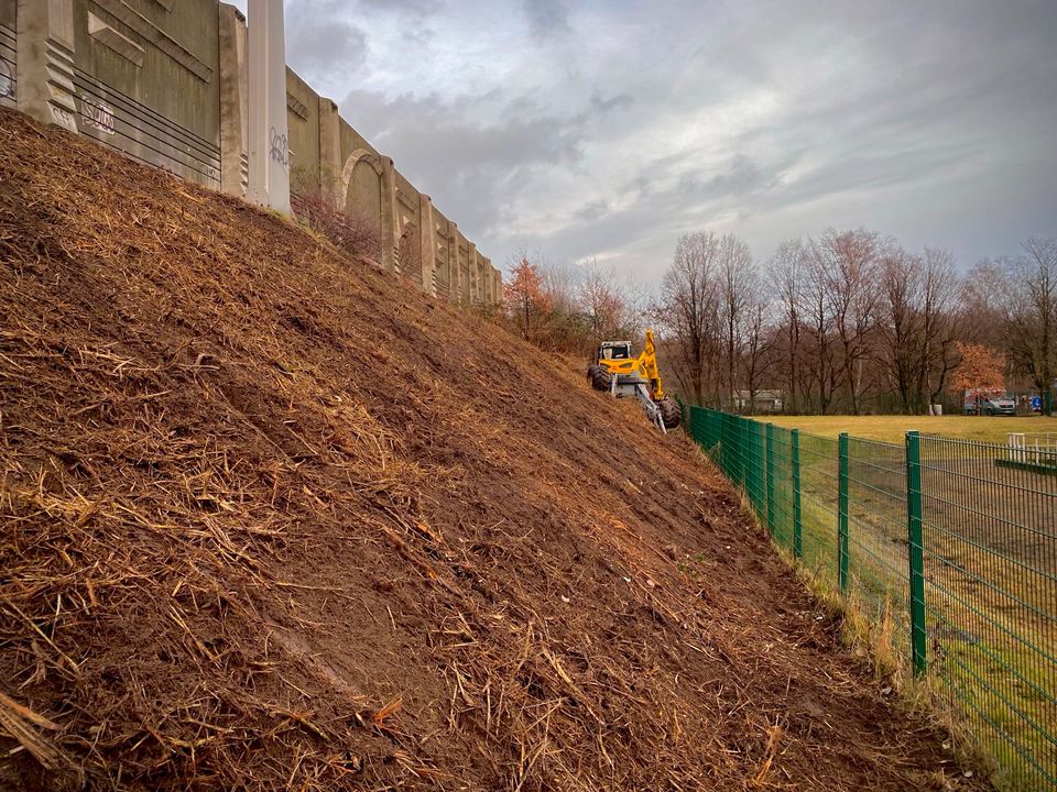 Schreitbaggerarbeiten Menzi Muck Schreitbagger in Berne