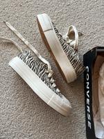 Converse Gr.39 neu Köln - Rondorf Vorschau