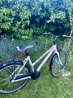 Fahrrad Falter 24 Zoll Niedersachsen - Seevetal Vorschau