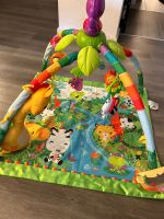 Spielebogen Fisher Price „Rainforest“ - mit Musik Rheinland-Pfalz - Konz Vorschau