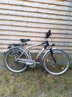 Citybike-Trekking-Fahrrad mit sram s7 drehgriffschalter Bayern - Lauterhofen Vorschau