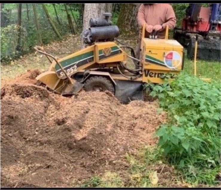 Wurzelfräse, Stubbenfräse, Baumstupf - Wurzeln entfernen in Horn-Bad Meinberg