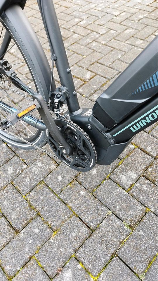 E- Bike Trekking Bike Winora Haibike Herren in Gieselwerder