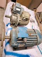 Mischermotor Motor Elektromotor Getriebemotor Sachsen-Anhalt - Ballenstedt Vorschau