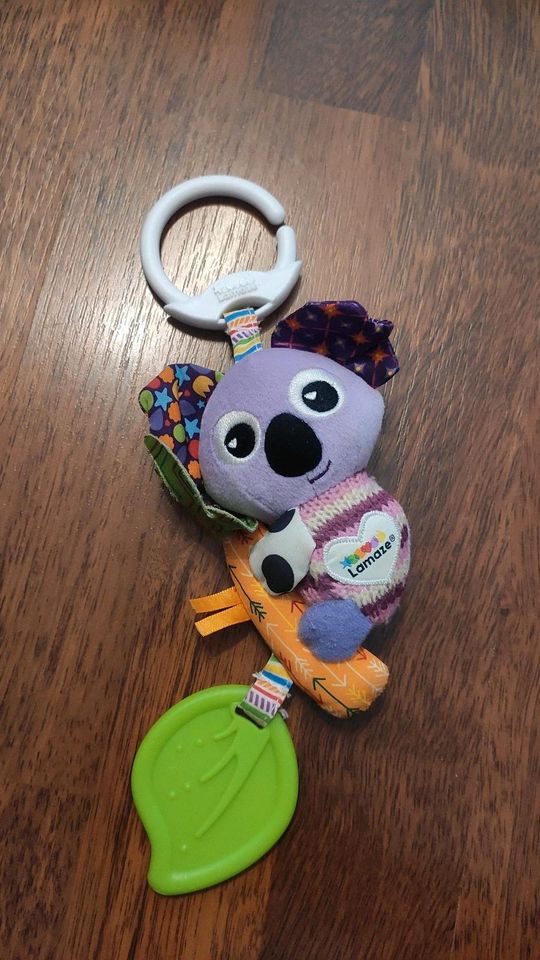 Lamaze Koala in Dienethal